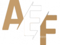 Frankfurto oro uosto palyda – Frankfurtas prie Maino / Vokietijos palydos agentūros